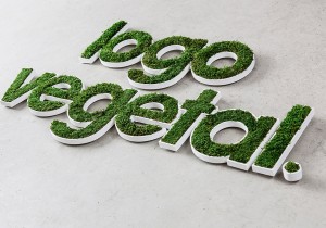Logo vegetal